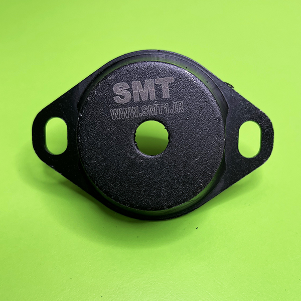 SMT
