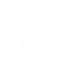 SMT